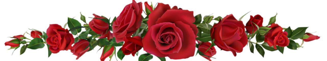 snapedit_1747034057385 e1747034137444